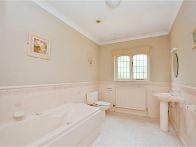 Picture 15